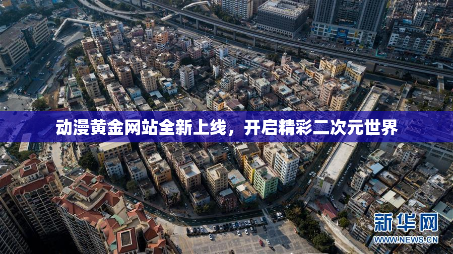 动漫黄金网站全新上线，开启精彩二次元世界
