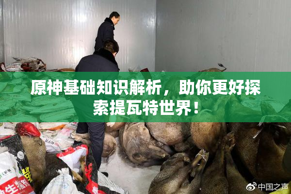 原神基础知识解析，助你更好探索提瓦特世界！