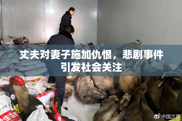丈夫对妻子施加仇恨，悲剧事件引发社会关注