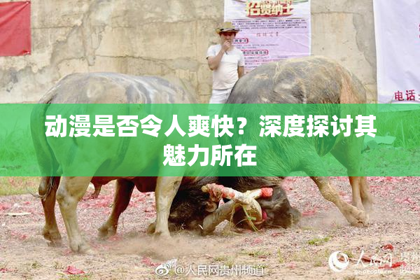 动漫是否令人爽快？深度探讨其魅力所在