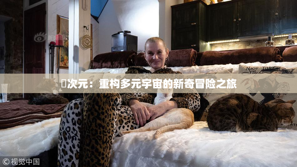 囧次元：重构多元宇宙的新奇冒险之旅