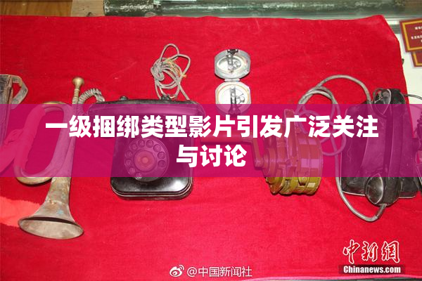 一级捆绑类型影片引发广泛关注与讨论