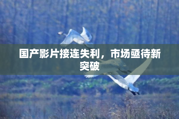 国产影片接连失利，市场亟待新突破