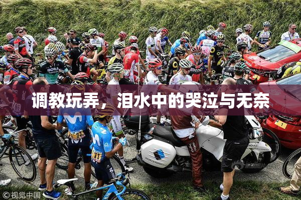 调教玩弄，泪水中的哭泣与无奈