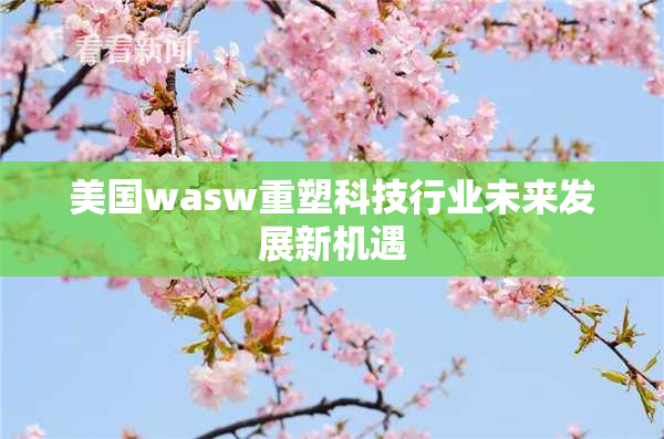 美国wasw重塑科技行业未来发展新机遇