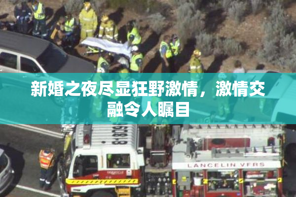 新婚之夜尽显狂野激情，激情交融令人瞩目