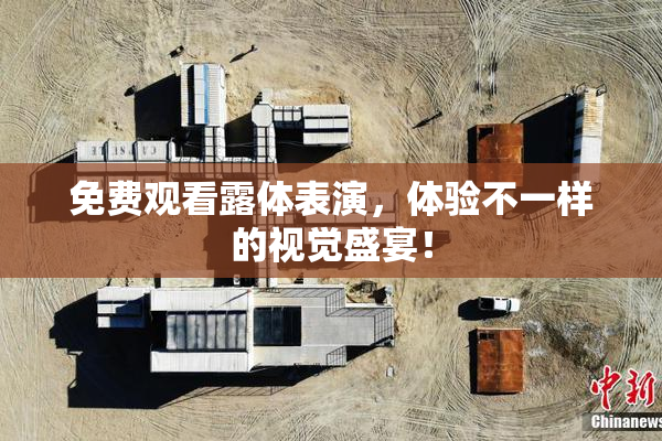 免费观看露体表演，体验不一样的视觉盛宴！