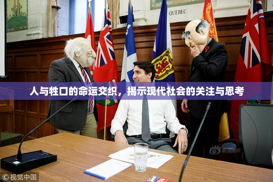 人与牲口的命运交织，揭示现代社会的关注与思考