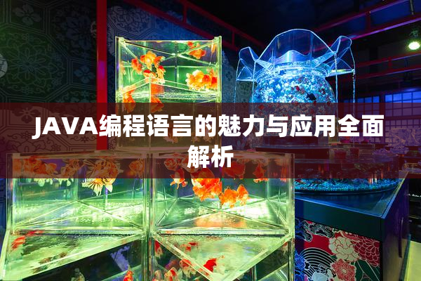 JAVA编程语言的魅力与应用全面解析