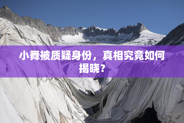 小舞被质疑身份，真相究竟如何揭晓？