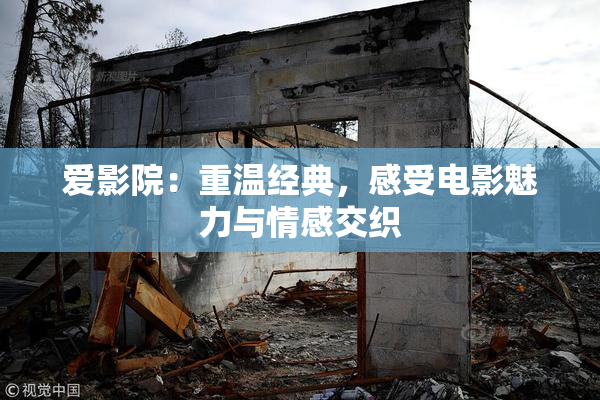 爱影院：重温经典，感受电影魅力与情感交织