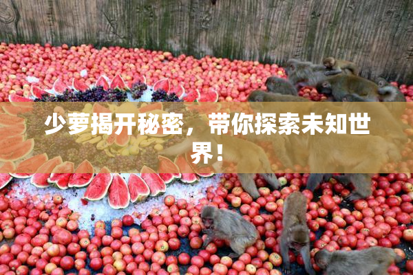 少萝揭开秘密，带你探索未知世界！