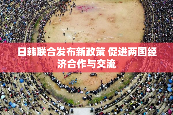 日韩联合发布新政策 促进两国经济合作与交流