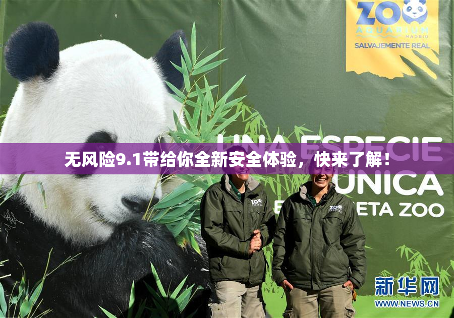 无风险9.1带给你全新安全体验，快来了解！