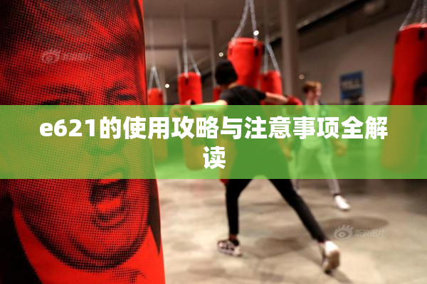 e621的使用攻略与注意事项全解读