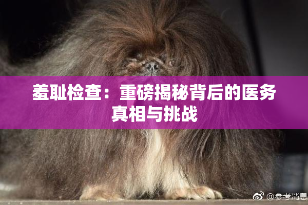 羞耻检查：重磅揭秘背后的医务真相与挑战
