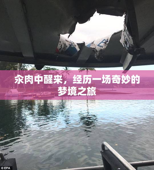汆肉中醒来，经历一场奇妙的梦境之旅