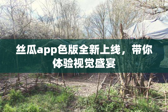 丝瓜app色版全新上线，带你体验视觉盛宴