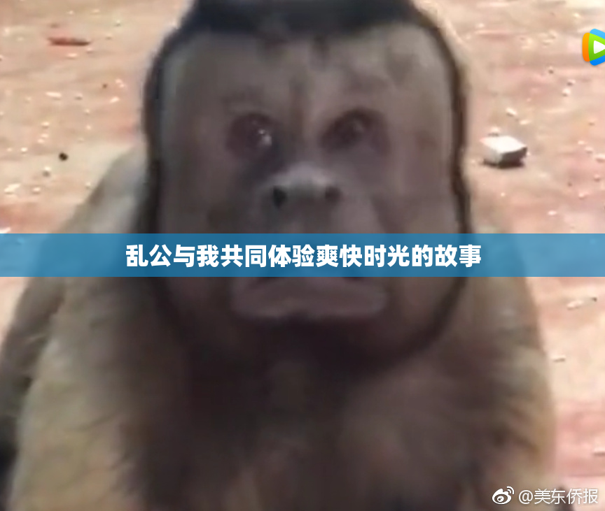 乱公与我共同体验爽快时光的故事