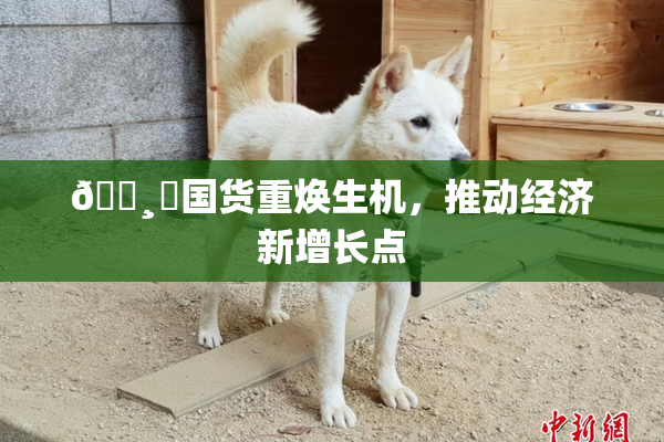 🌸‌国货重焕生机，推动经济新增长点
