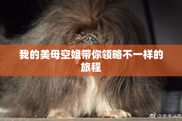 我的美母空姐带你领略不一样的旅程