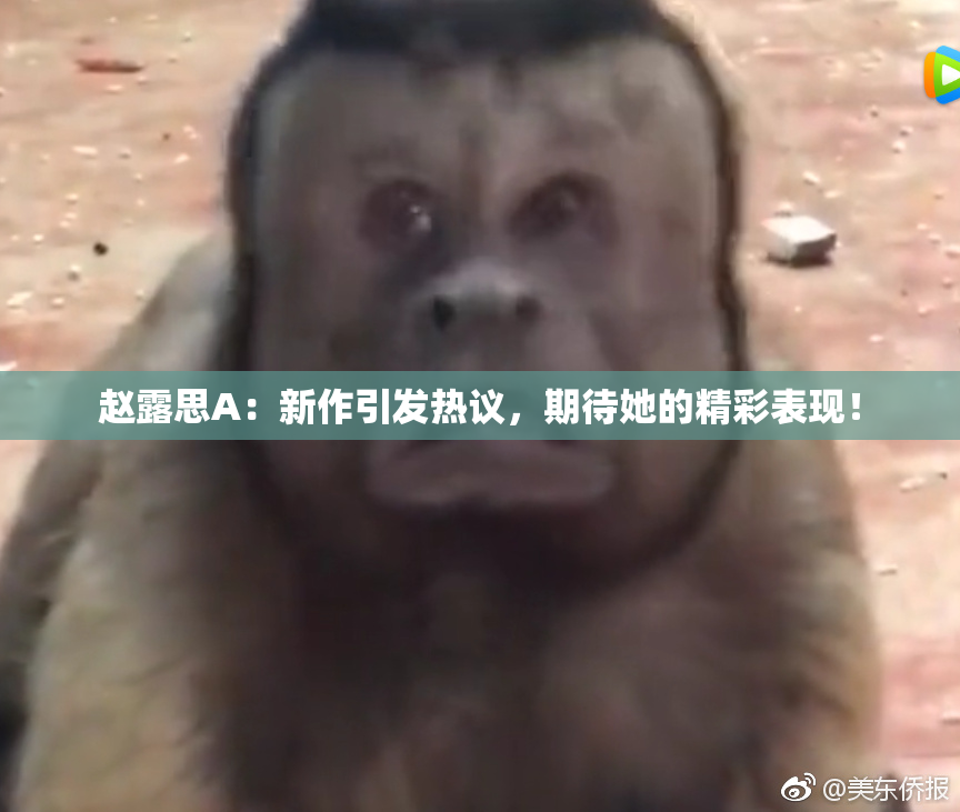 赵露思A：新作引发热议，期待她的精彩表现！