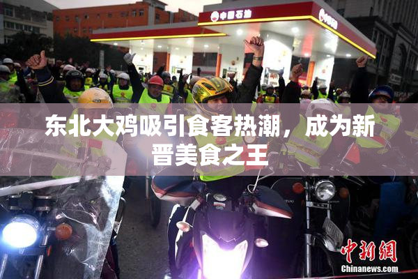 东北大鸡吸引食客热潮，成为新晋美食之王