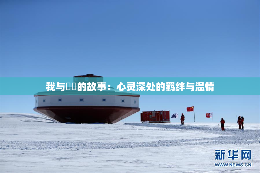 我与妺妺的故事：心灵深处的羁绊与温情