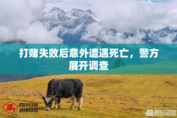 打赌失败后意外遭遇死亡，警方展开调查
