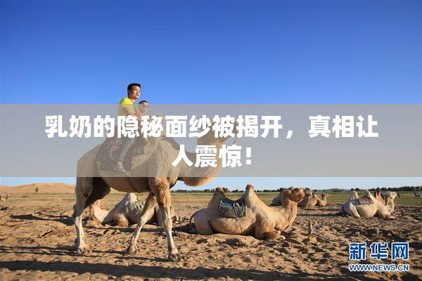 乳奶的隐秘面纱被揭开，真相让人震惊！