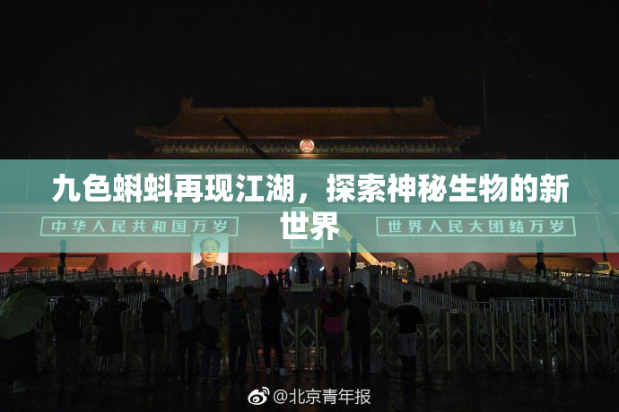 九色蝌蚪再现江湖，探索神秘生物的新世界