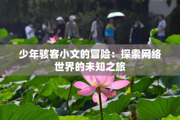 少年骇客小文的冒险：探索网络世界的未知之旅