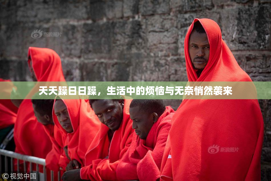 天天躁日日躁，生活中的烦恼与无奈悄然袭来