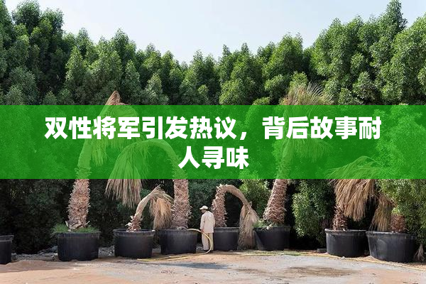 双性将军引发热议，背后故事耐人寻味