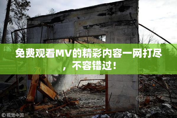 免费观看MV的精彩内容一网打尽，不容错过！