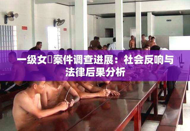一级女婬案件调查进展：社会反响与法律后果分析