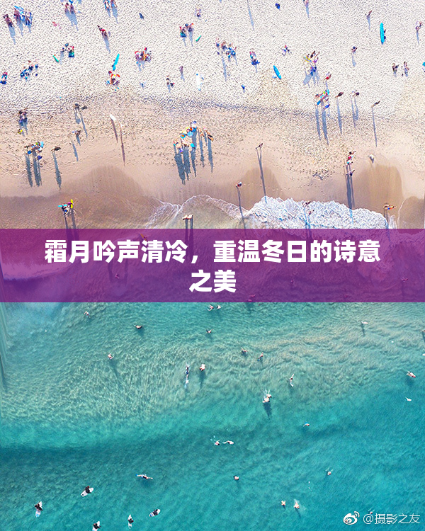霜月吟声清冷，重温冬日的诗意之美