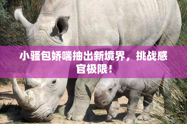 小骚包娇喘抽出新境界，挑战感官极限！