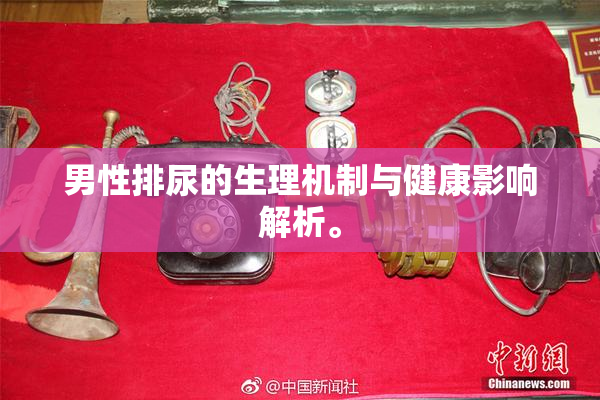 男性排尿的生理机制与健康影响解析。