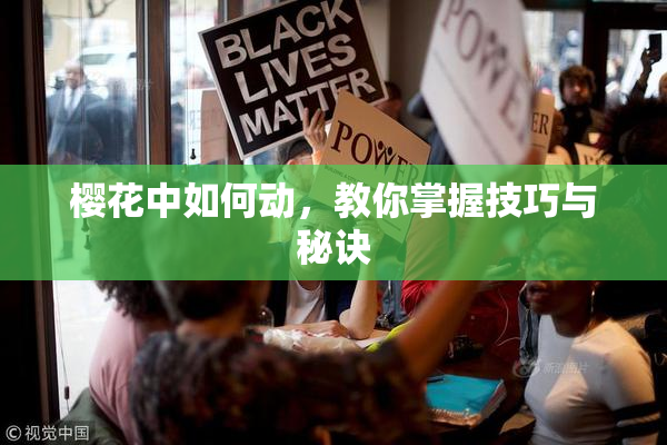 樱花中如何动，教你掌握技巧与秘诀