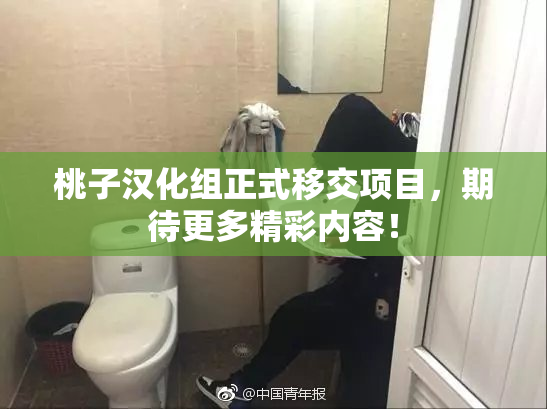 桃子汉化组正式移交项目，期待更多精彩内容！