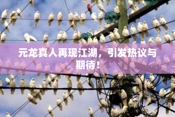 元龙真人再现江湖，引发热议与期待！