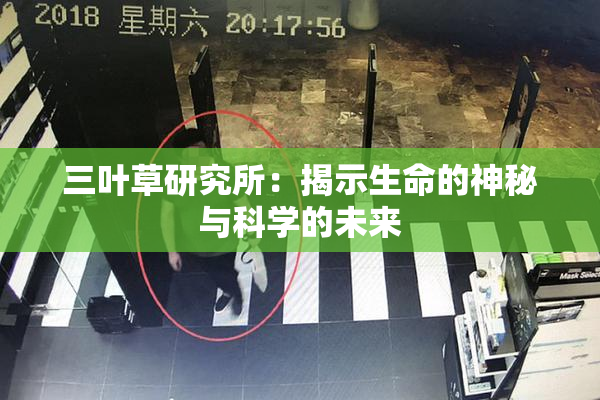 三叶草研究所：揭示生命的神秘与科学的未来