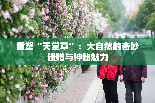 重塑“天堂草”：大自然的奇妙馈赠与神秘魅力