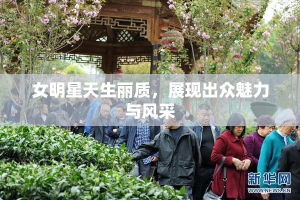 女明星天生丽质，展现出众魅力与风采