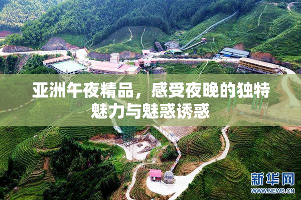 亚洲午夜精品，感受夜晚的独特魅力与魅惑诱惑