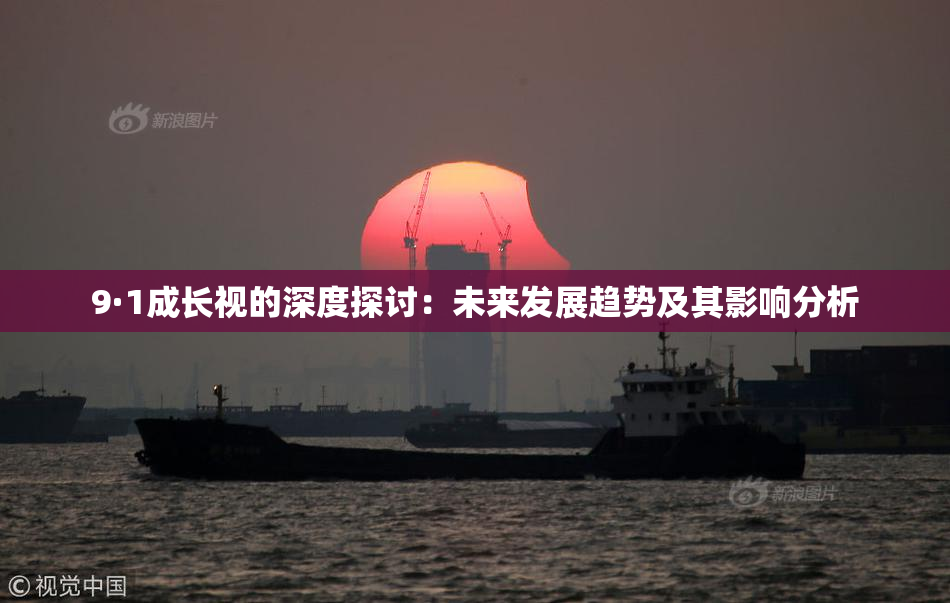9·1成长视的深度探讨：未来发展趋势及其影响分析
