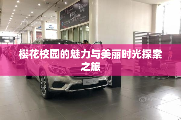 樱花校园的魅力与美丽时光探索之旅