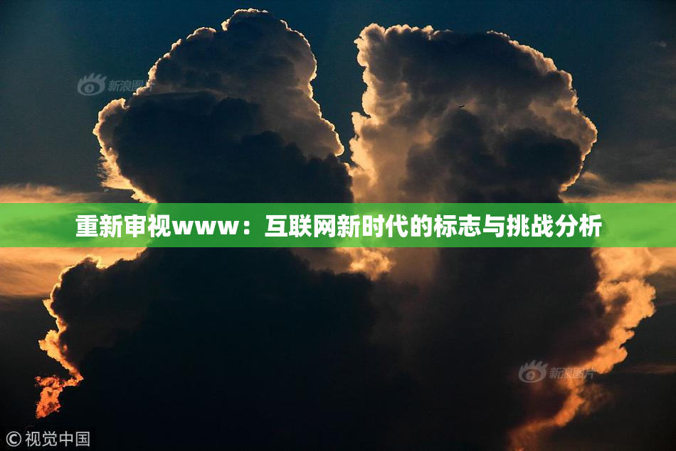 重新审视www：互联网新时代的标志与挑战分析