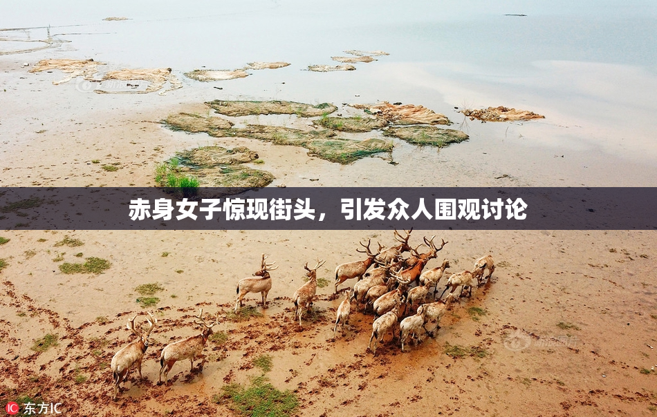 赤身女子惊现街头，引发众人围观讨论